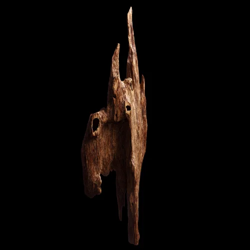 چوبی